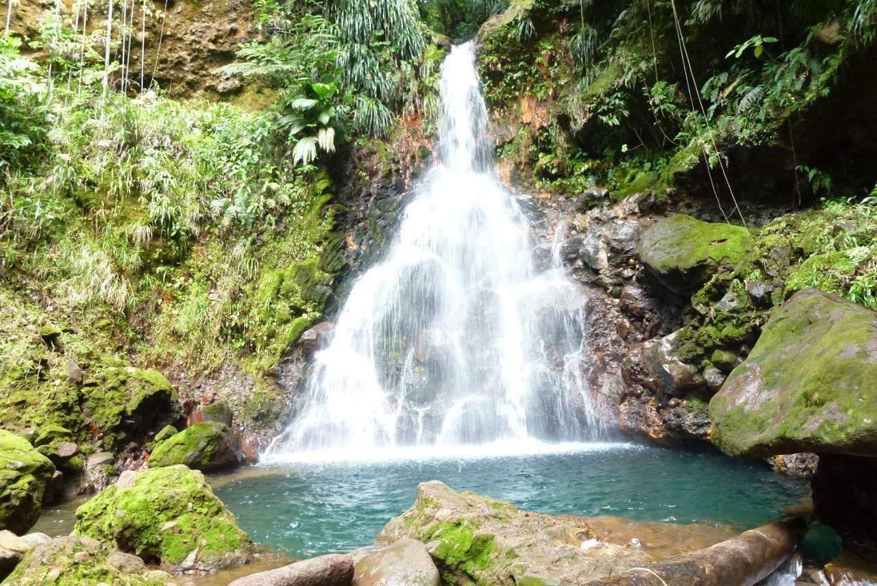 Domaine De L'Anse Des Rochers Saint-Francois  Esterno foto